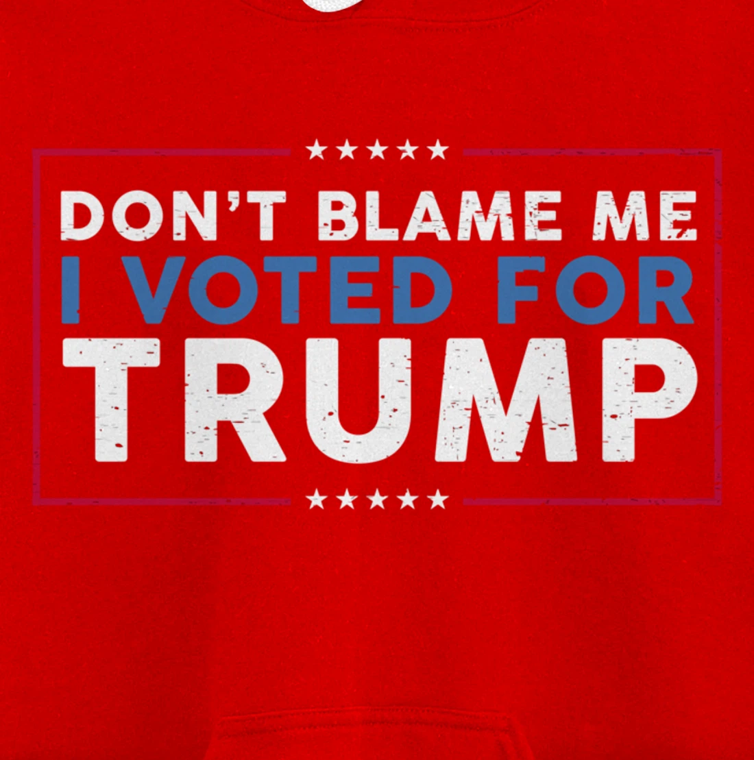 DON'T BLAME ME I VOTED FOR TRUMP Funny Pro-Trump Anti-Biden Pullover Hoodie