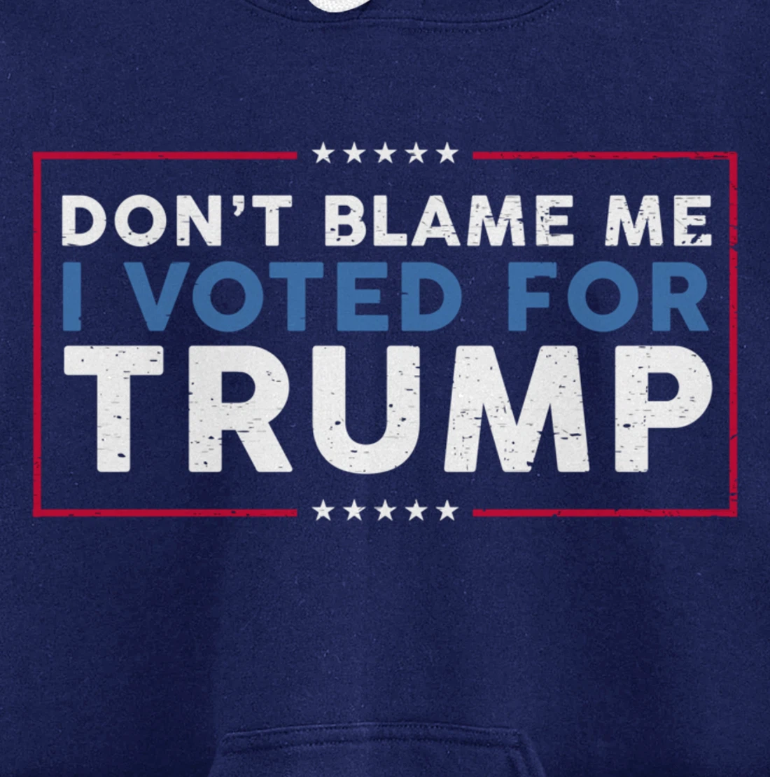 DON'T BLAME ME I VOTED FOR TRUMP Funny Pro-Trump Anti-Biden Pullover Hoodie