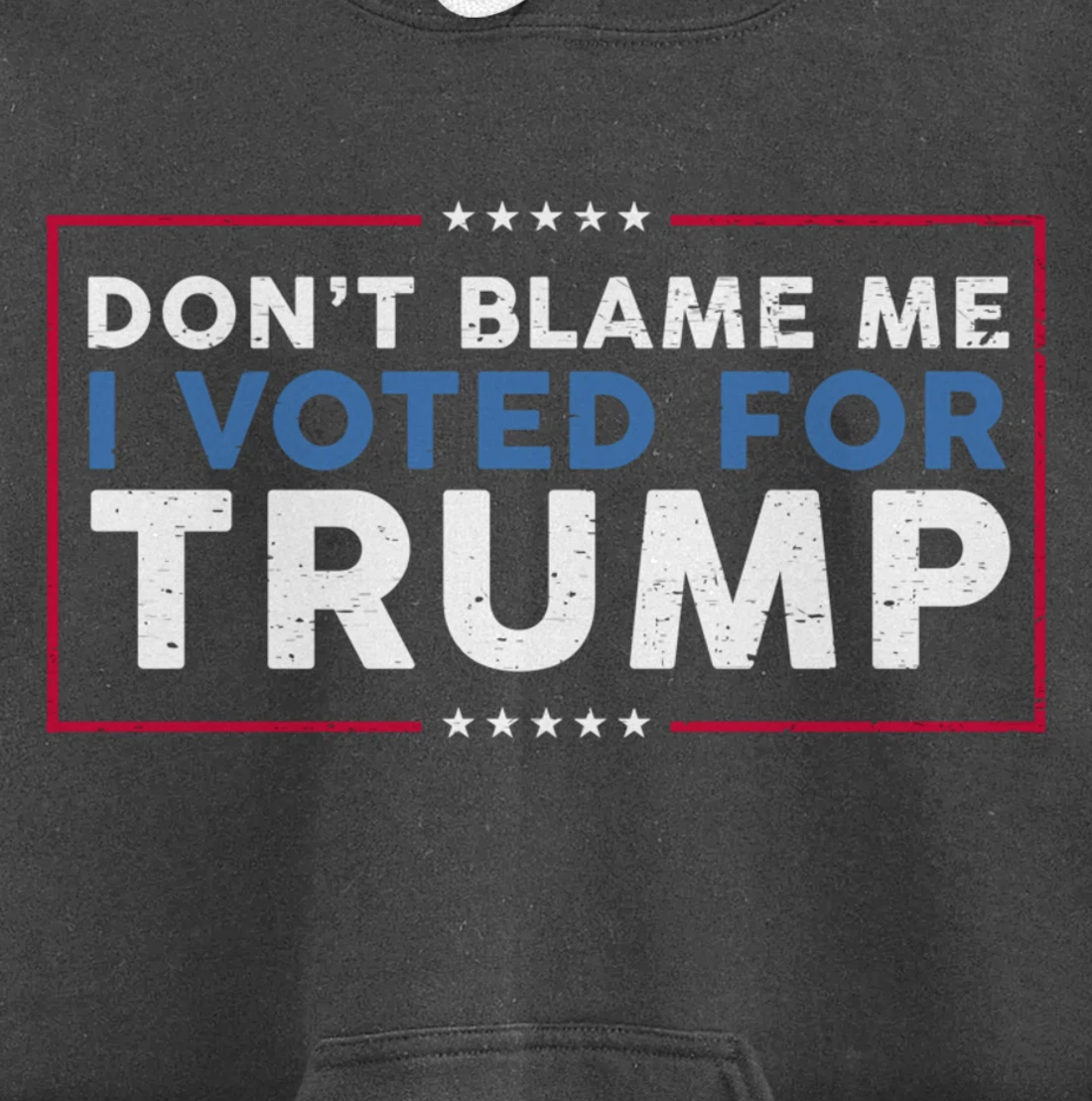 DON'T BLAME ME I VOTED FOR TRUMP Funny Pro-Trump Anti-Biden Pullover Hoodie