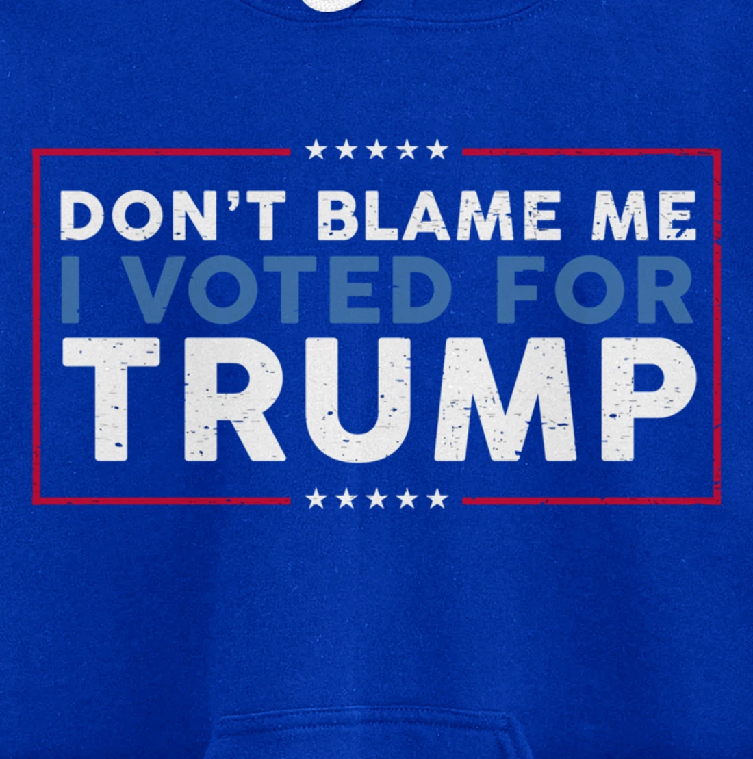 DON'T BLAME ME I VOTED FOR TRUMP Funny Pro-Trump Anti-Biden Pullover Hoodie