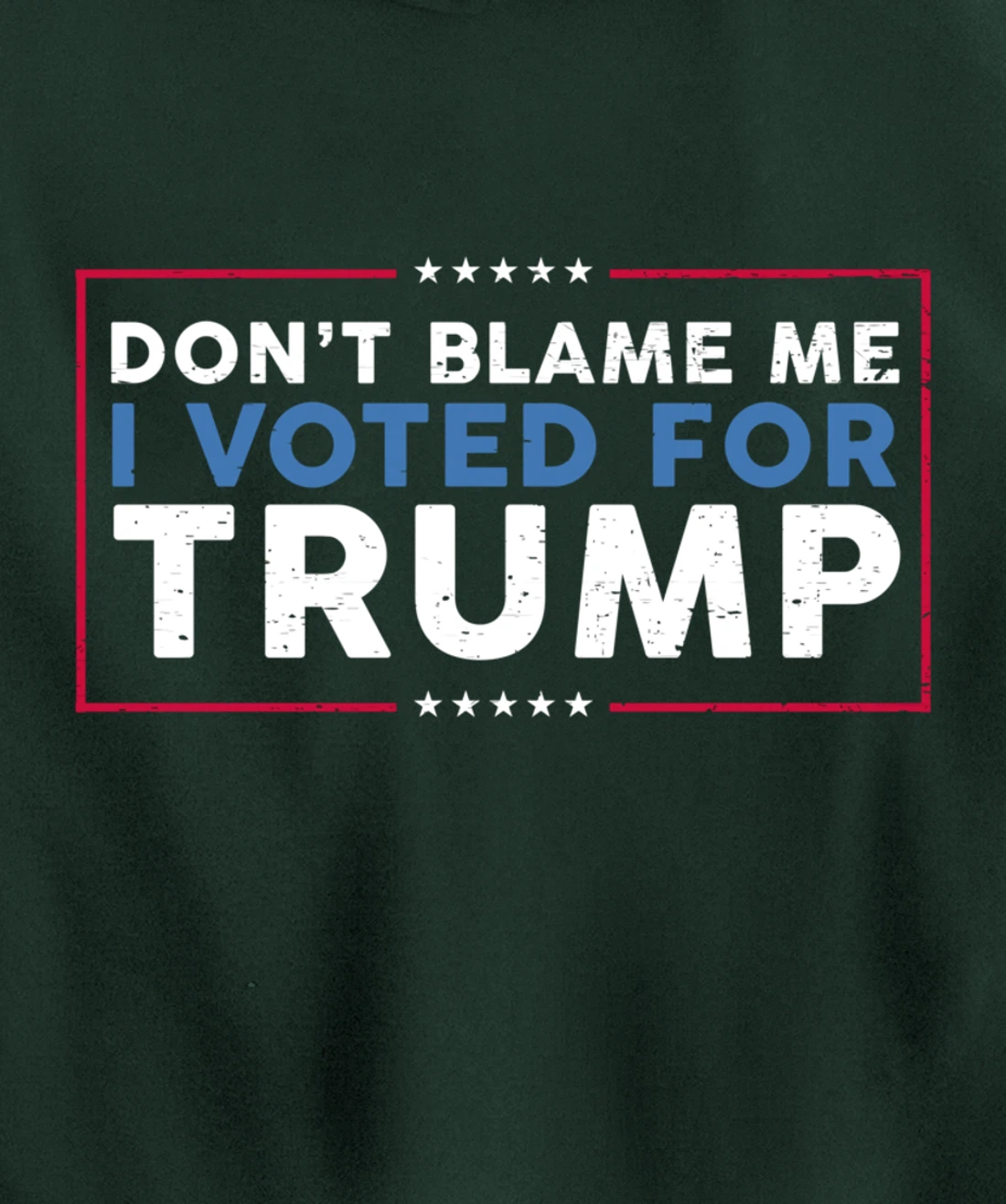 DON'T BLAME ME I VOTED FOR TRUMP Funny Pro-Trump Anti-Biden Pullover Hoodie