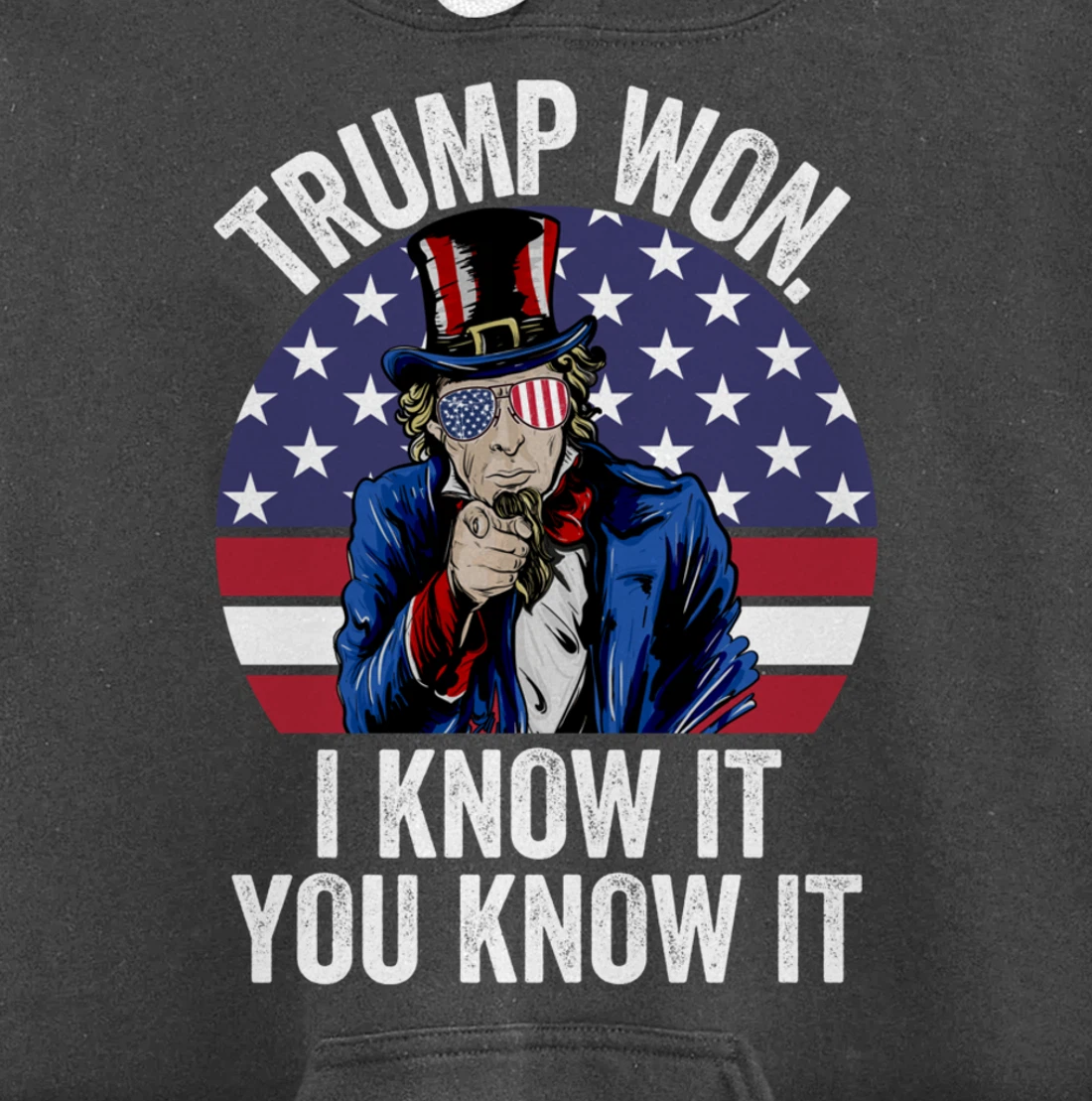 Trump Won Save America Again 2024 President Election Pullover Hoodie