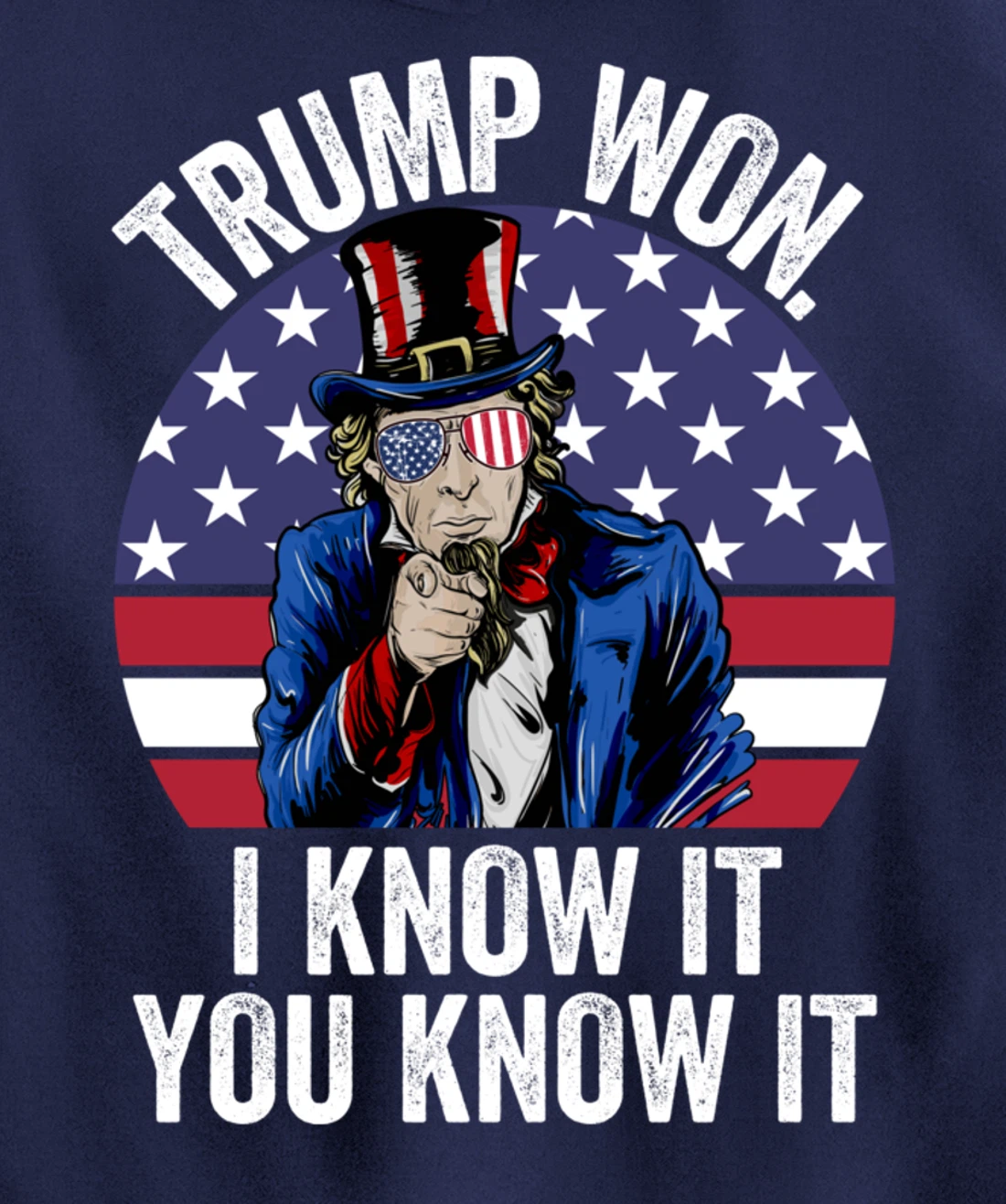 Trump Won Save America Again 2024 President Election Pullover Hoodie