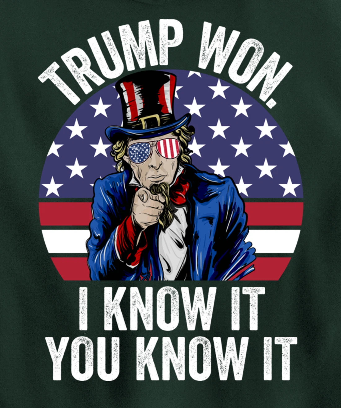 Trump Won Save America Again 2024 President Election Pullover Hoodie