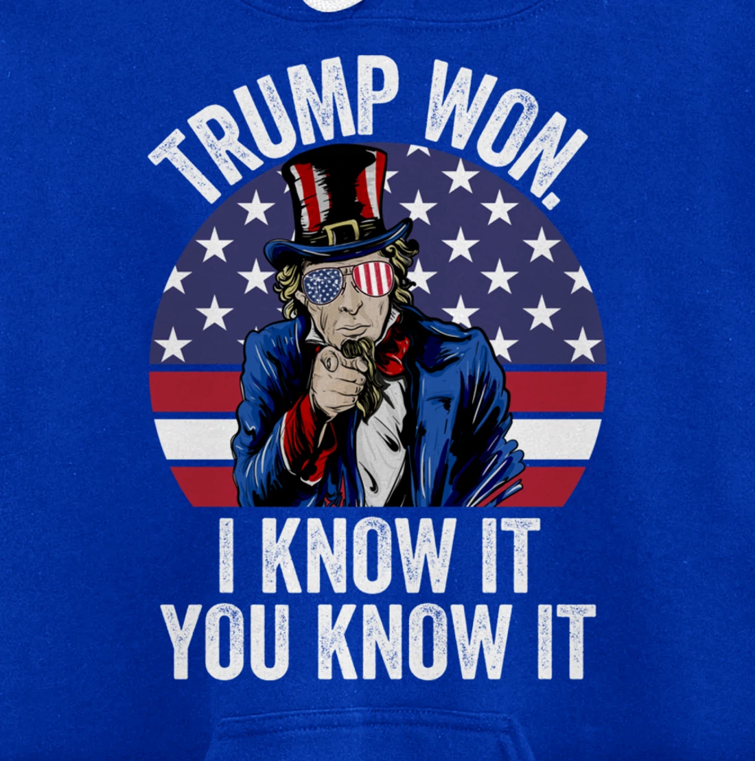 Trump Won Save America Again 2024 President Election Pullover Hoodie