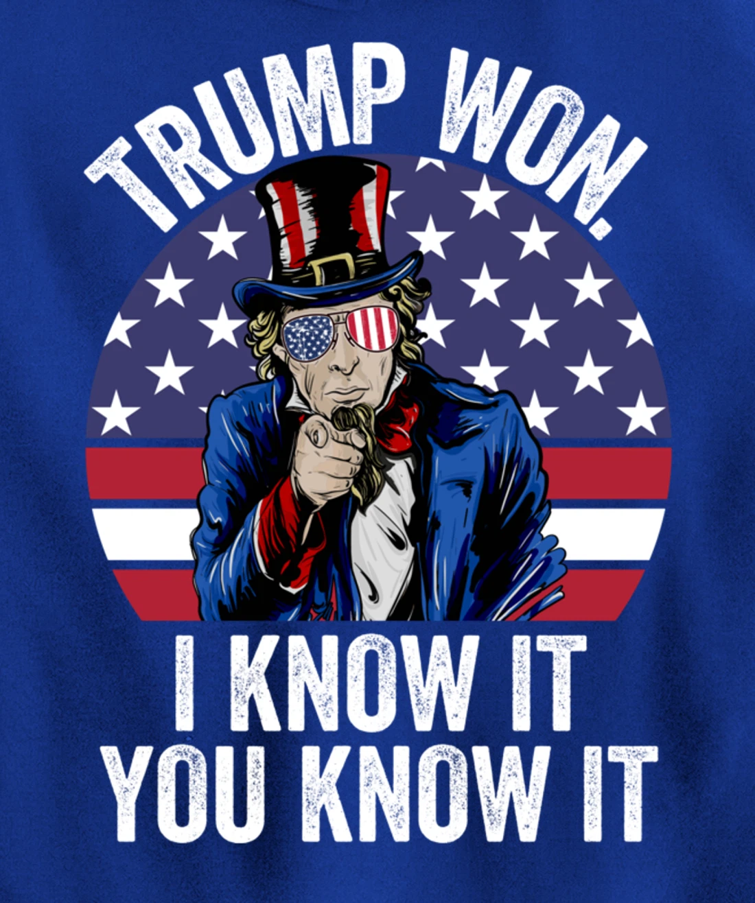 Trump Won Save America Again 2024 President Election Pullover Hoodie