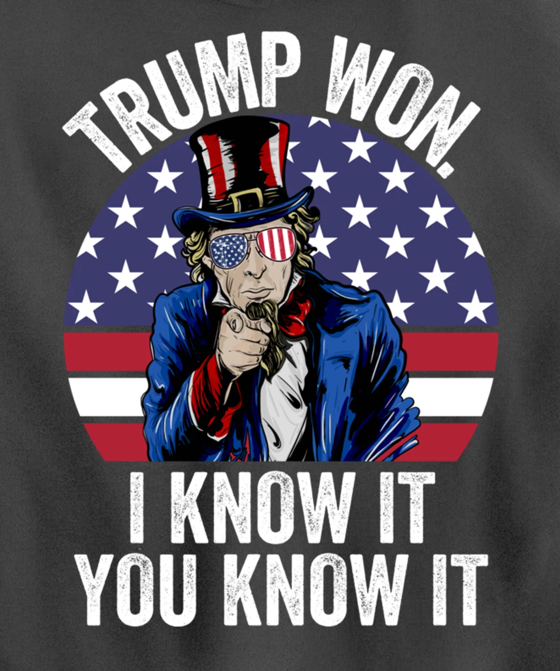 Trump Won Save America Again 2024 President Election Pullover Hoodie