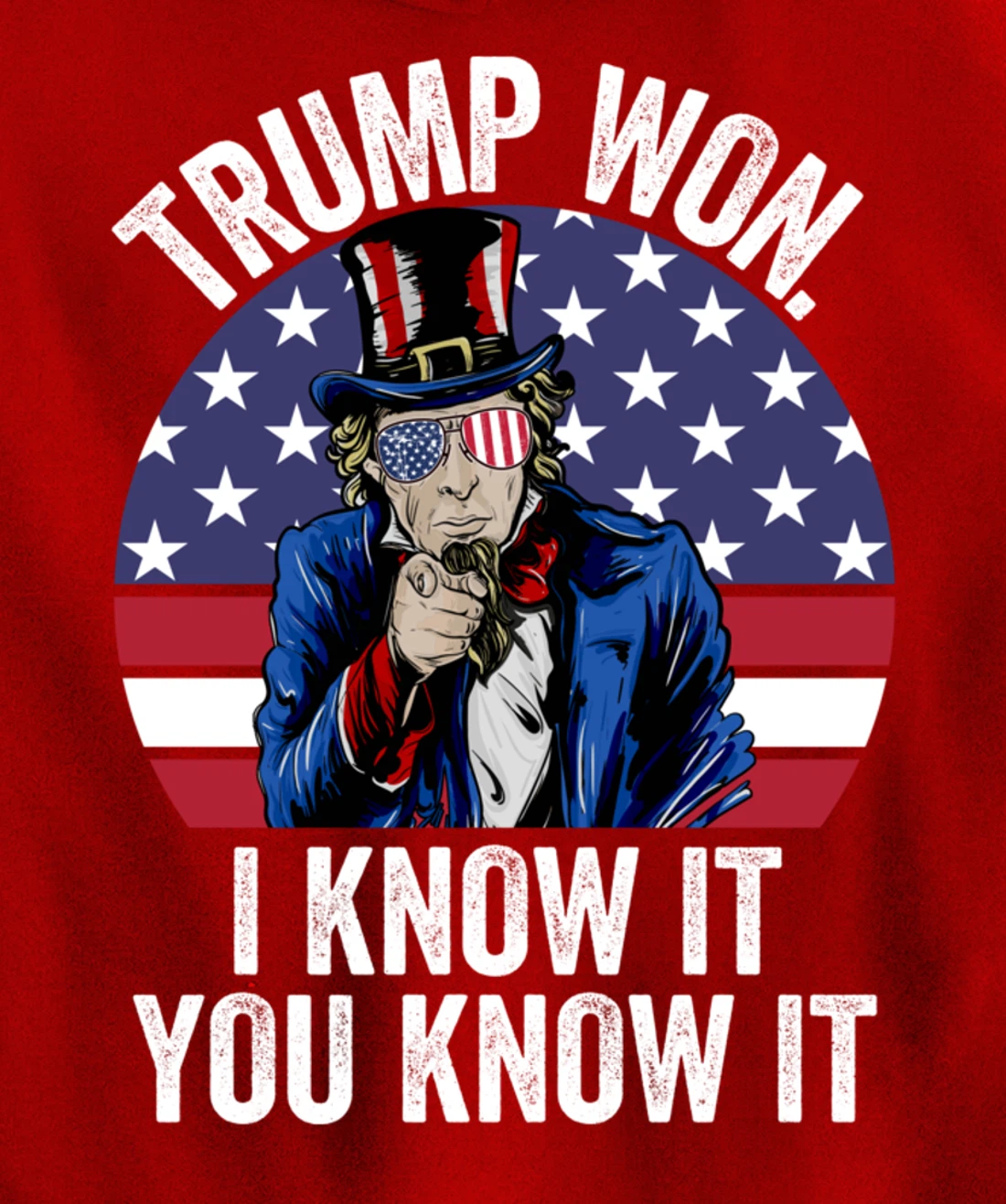 Trump Won Save America Again 2024 President Election Pullover Hoodie