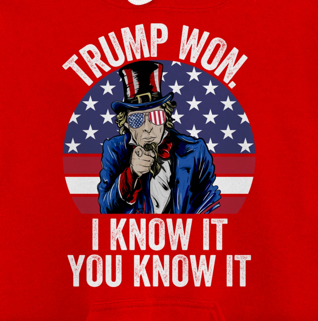 Trump Won Save America Again 2024 President Election Pullover Hoodie