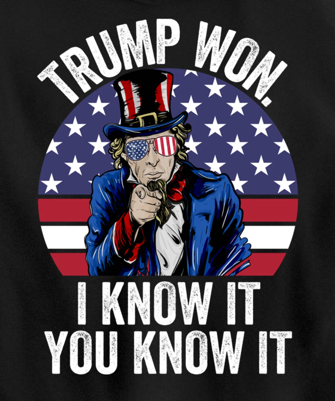 Trump Won Save America Again 2024 President Election Pullover Hoodie