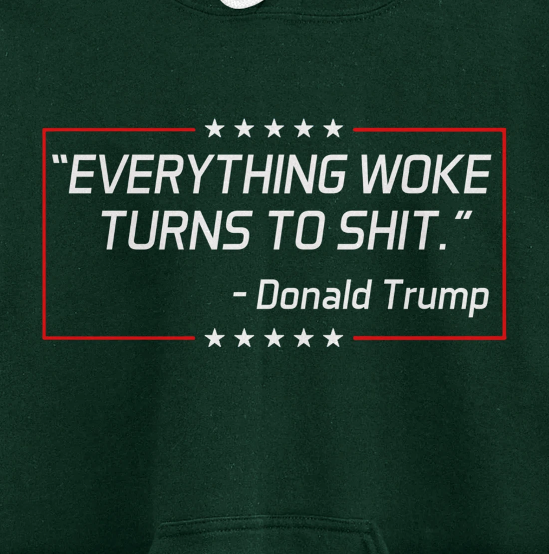 Funny Trump "Everything Woke Turns to Shit" Political Gift Pullover Hoodie