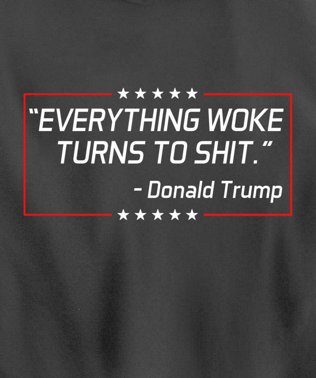 Funny Trump "Everything Woke Turns to Shit" Political Gift Pullover Hoodie