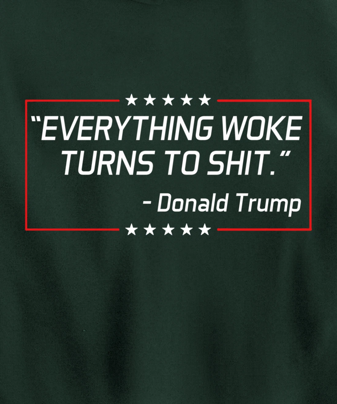Funny Trump "Everything Woke Turns to Shit" Political Gift Pullover Hoodie