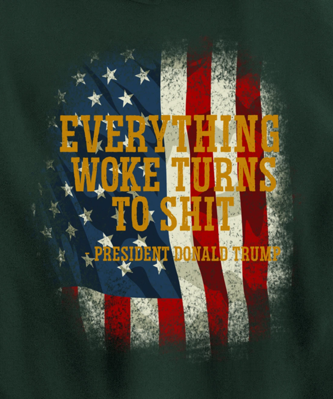 Funny Trump Everything Woke Turns To Shit Quote Pullover Hoodie