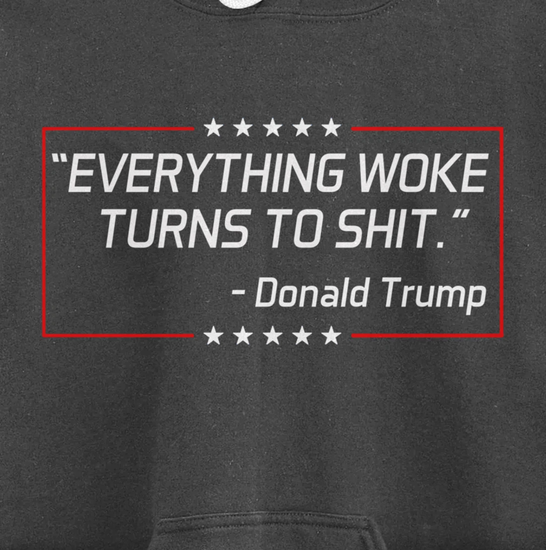 Funny Trump "Everything Woke Turns to Shit" Political Gift Pullover Hoodie