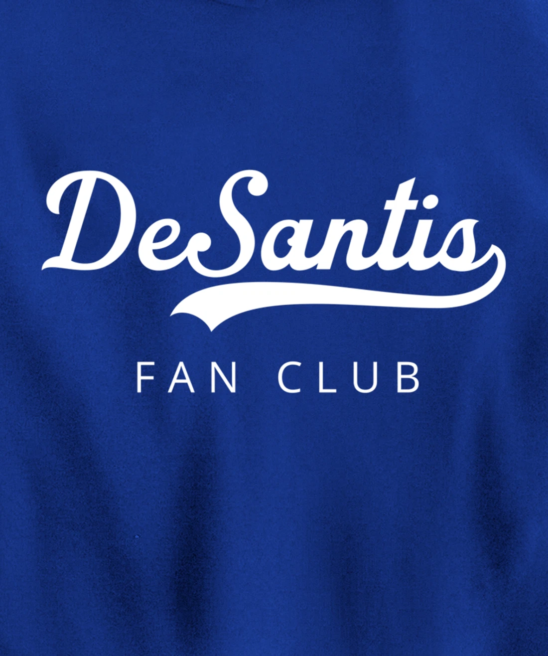 DeSantis 2024 Desantis Fan Club Trump Desantis 2024 Election Pullover Hoodie