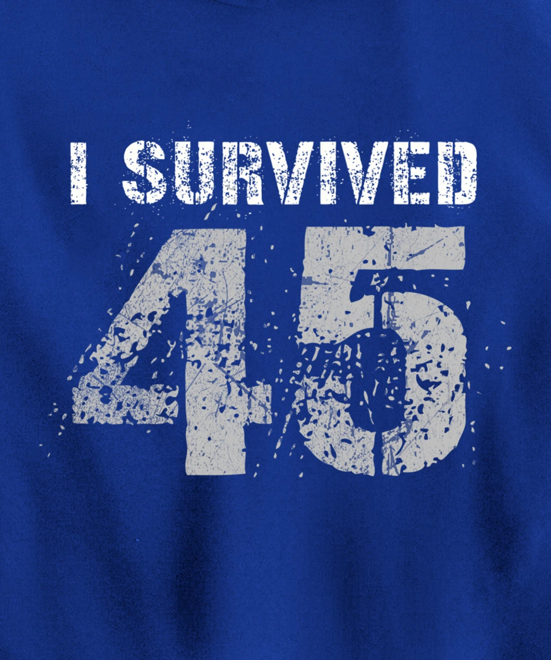 Vintage Biden Wins Trump Lost Election - I Survived No. 45 Pullover Hoodie