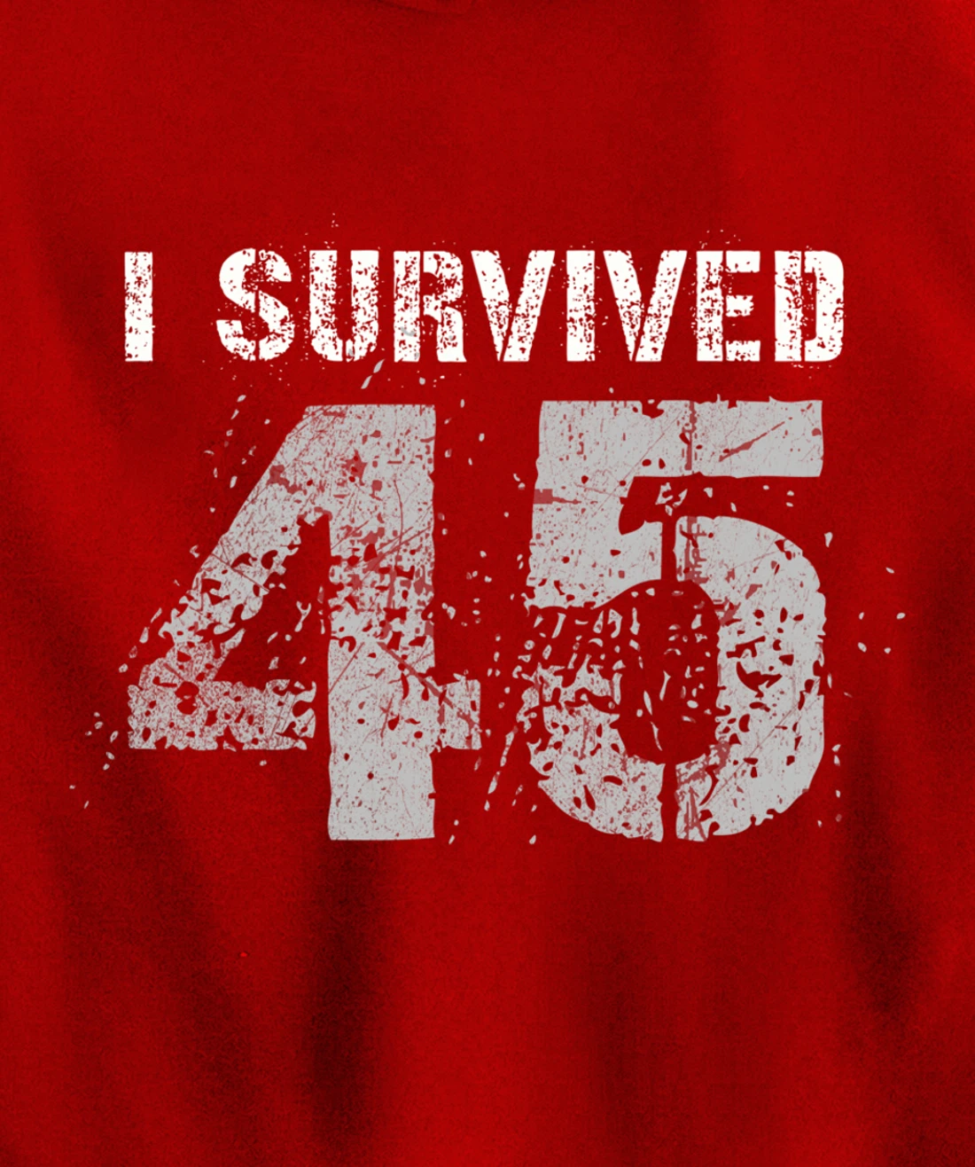 Vintage Biden Wins Trump Lost Election - I Survived No. 45 Pullover Hoodie