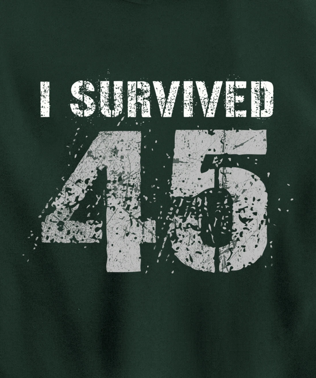 Vintage Biden Wins Trump Lost Election - I Survived No. 45 Pullover Hoodie