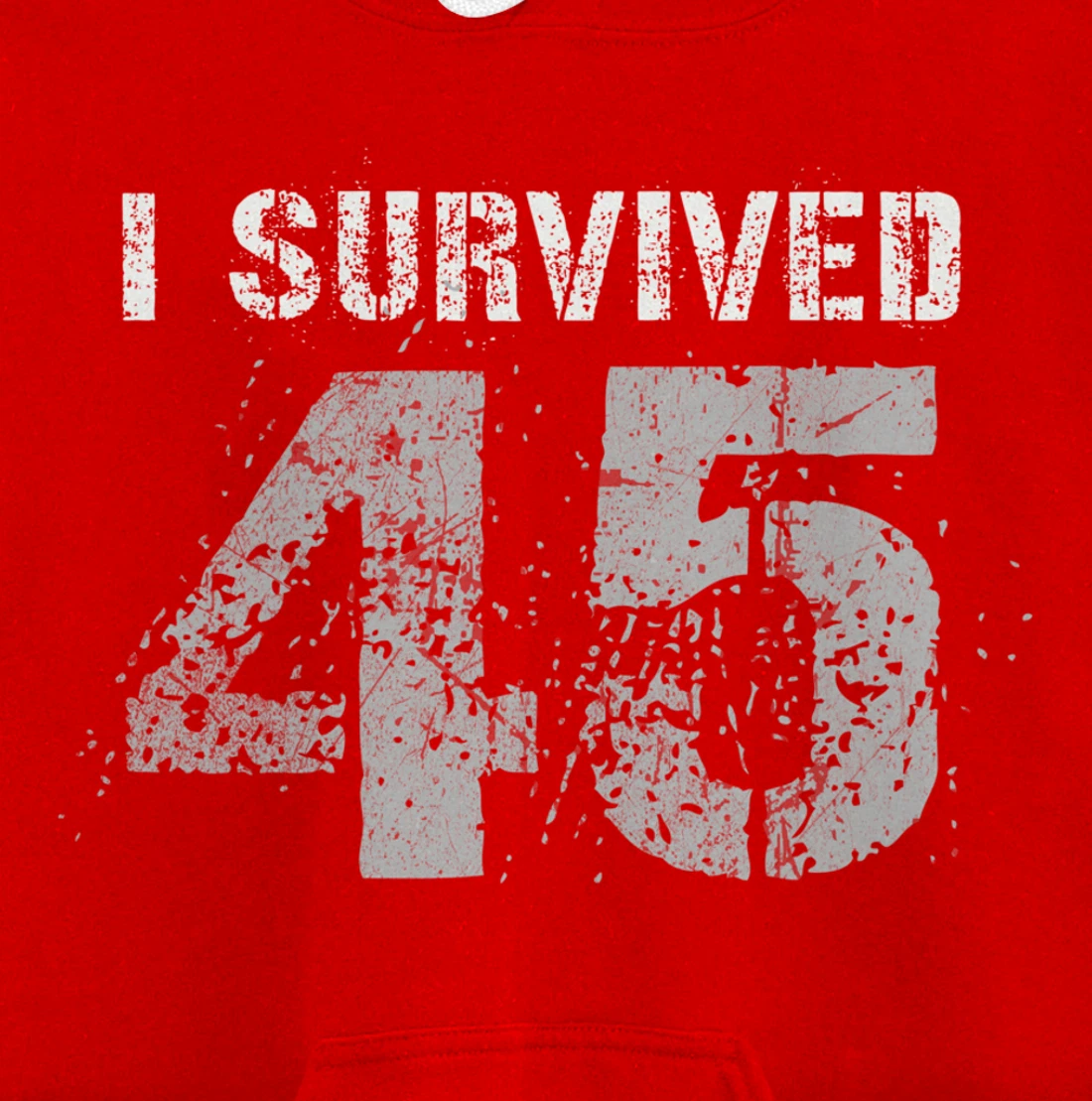 Vintage Biden Wins Trump Lost Election - I Survived No. 45 Pullover Hoodie