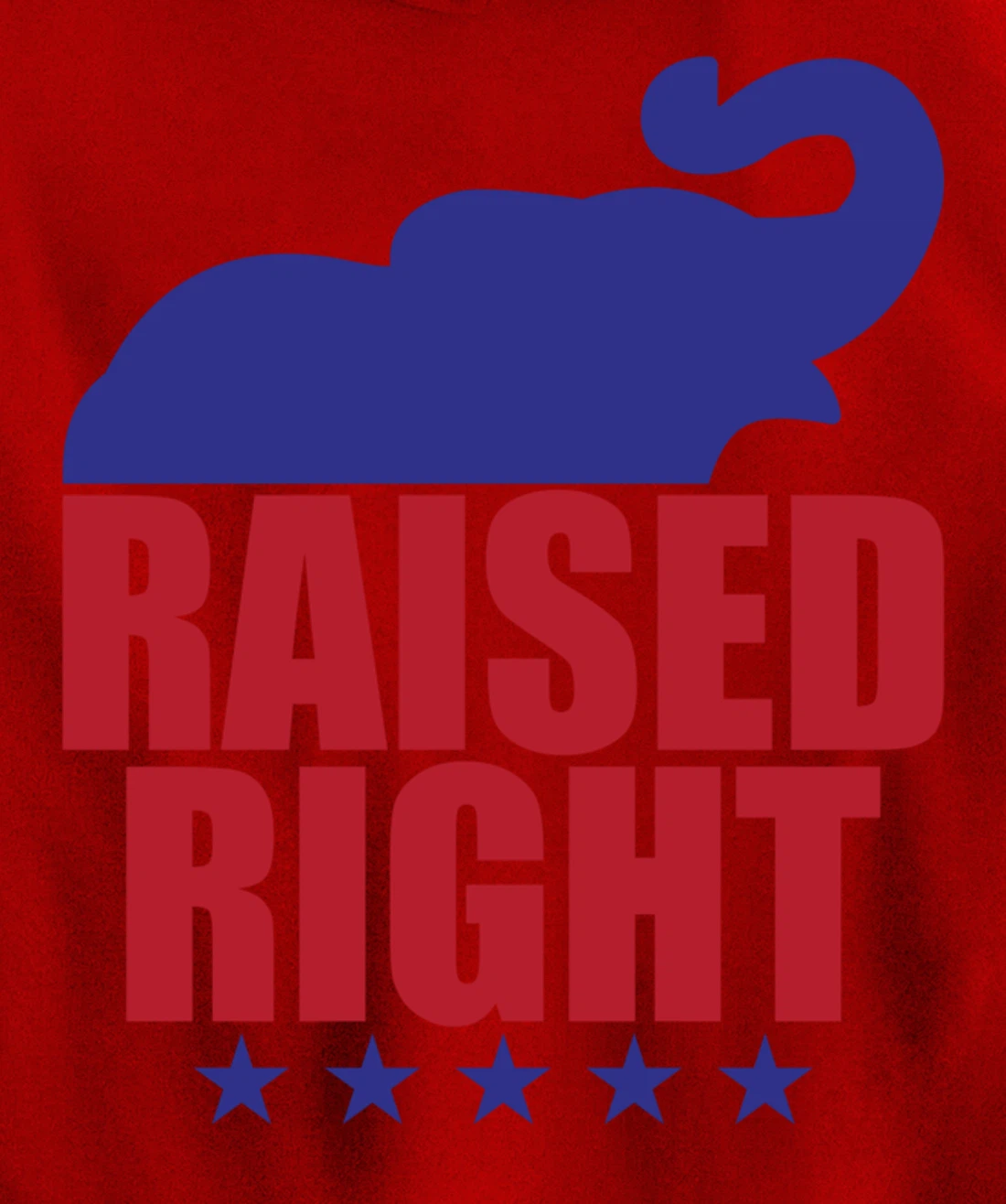 Raised Right Donald Trump Supporter Republican Elephant Pullover Hoodie