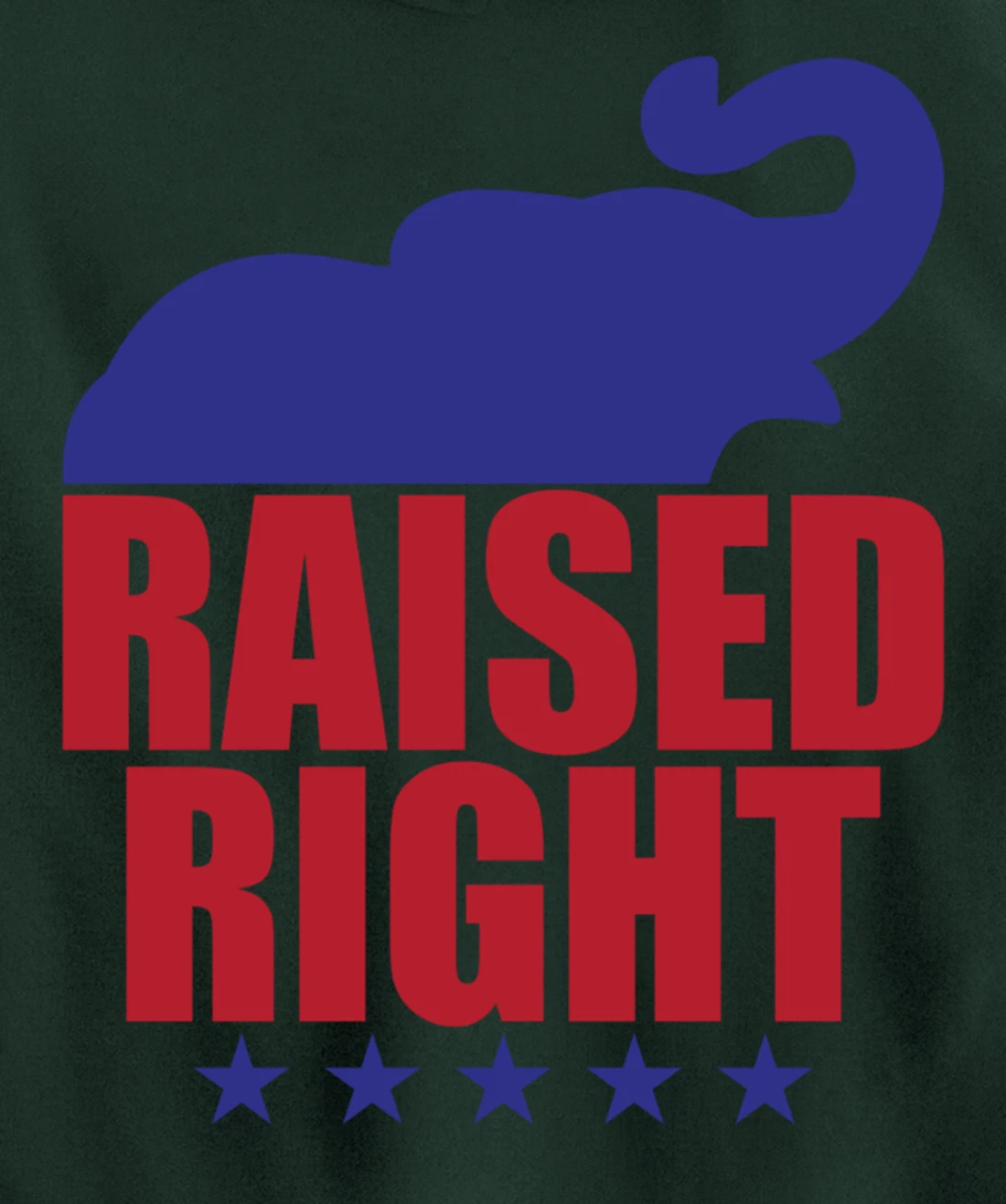Raised Right Donald Trump Supporter Republican Elephant Pullover Hoodie