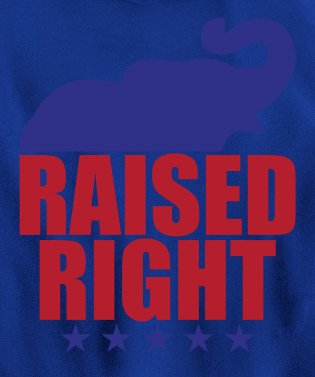 Raised Right Donald Trump Supporter Republican Elephant Pullover Hoodie