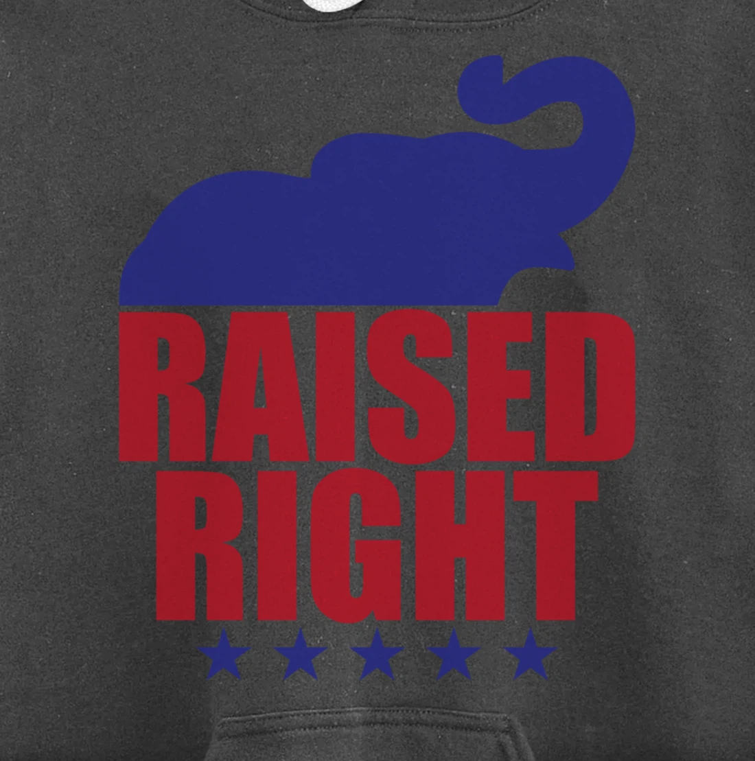 Raised Right Donald Trump Supporter Republican Elephant Pullover Hoodie