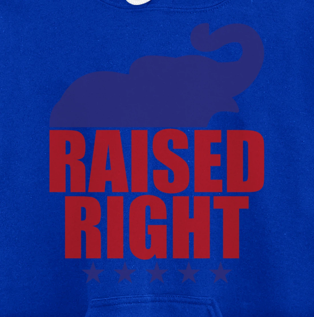 Raised Right Donald Trump Supporter Republican Elephant Pullover Hoodie
