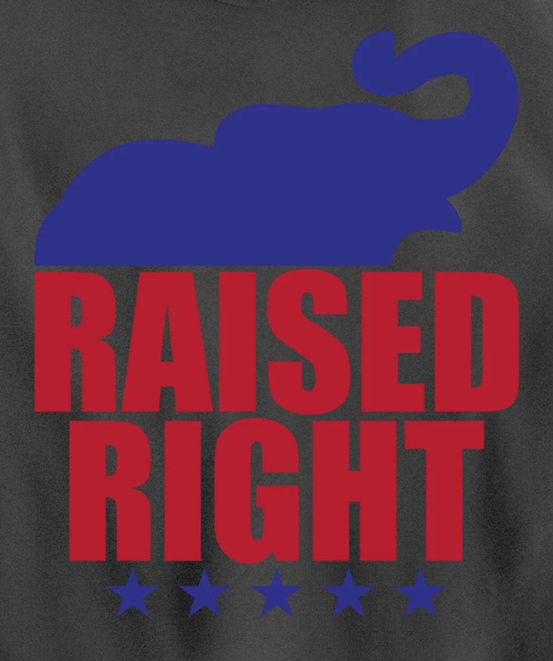Raised Right Donald Trump Supporter Republican Elephant Pullover Hoodie