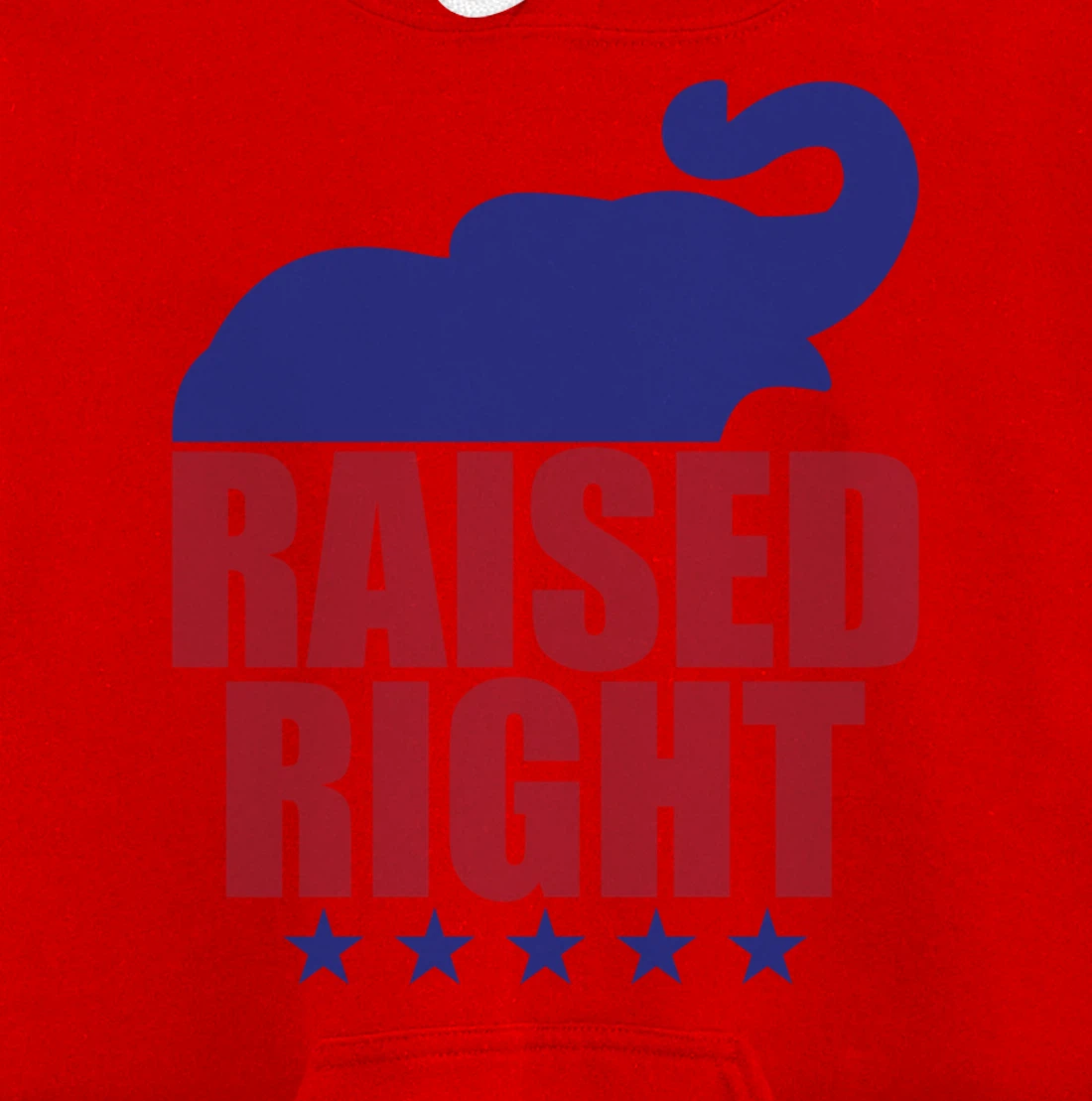 Raised Right Donald Trump Supporter Republican Elephant Pullover Hoodie