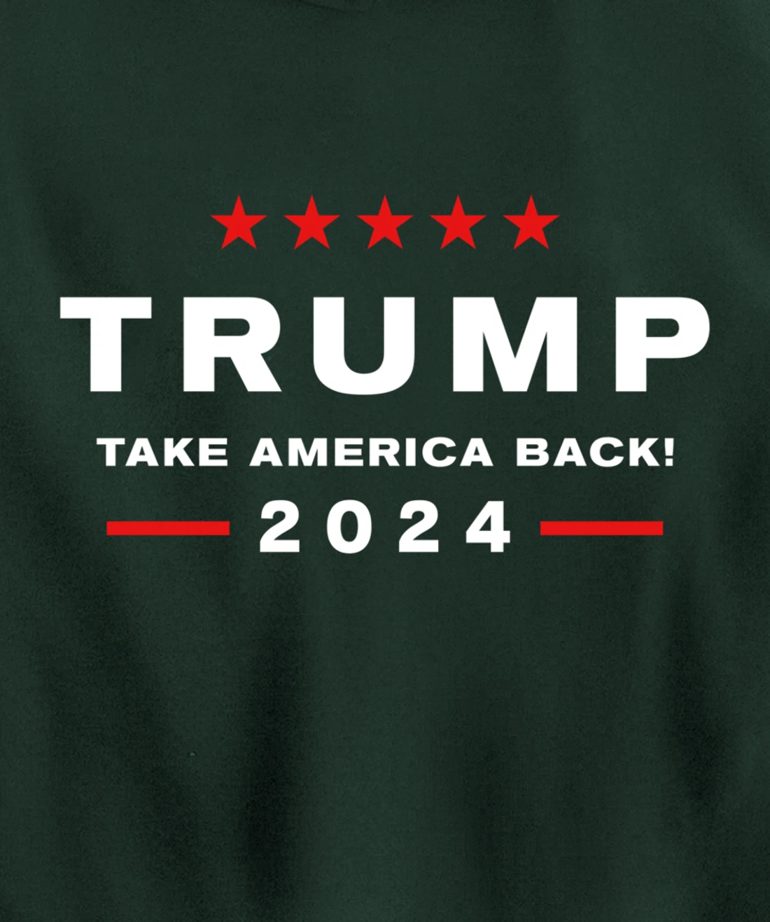 Donald Trump 2024 Take America Back Election - The Return Pullover Hoodie