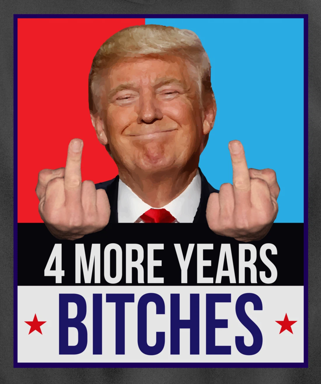 Funny Trump Wins - 4 More Years Bitches Republican Gift Pullover Hoodie