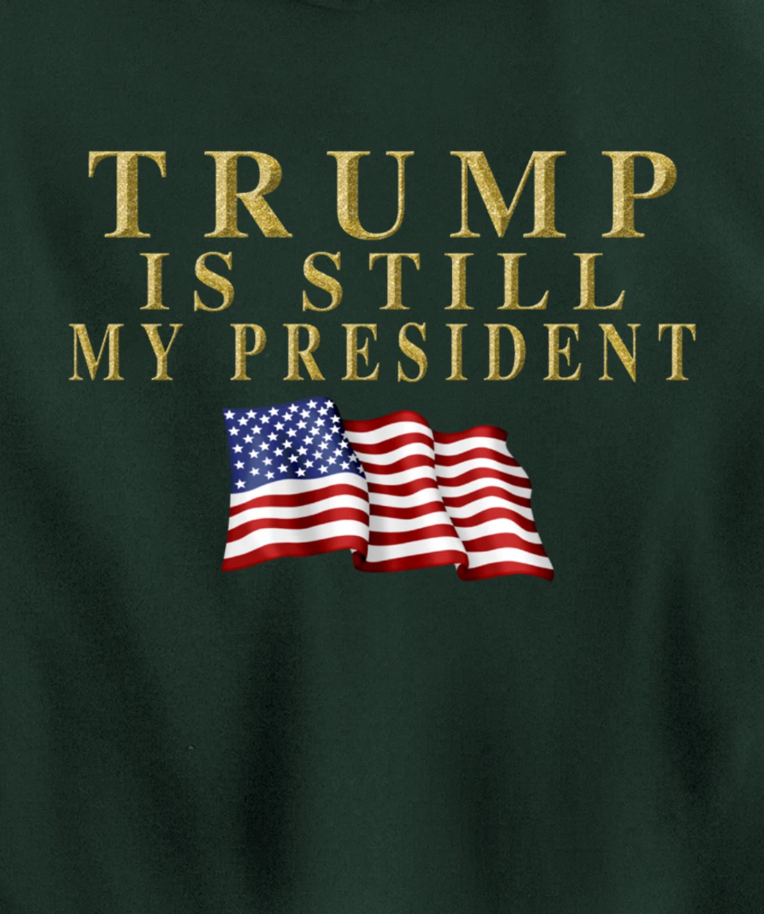 Still My President Trump Pullover Hoodie