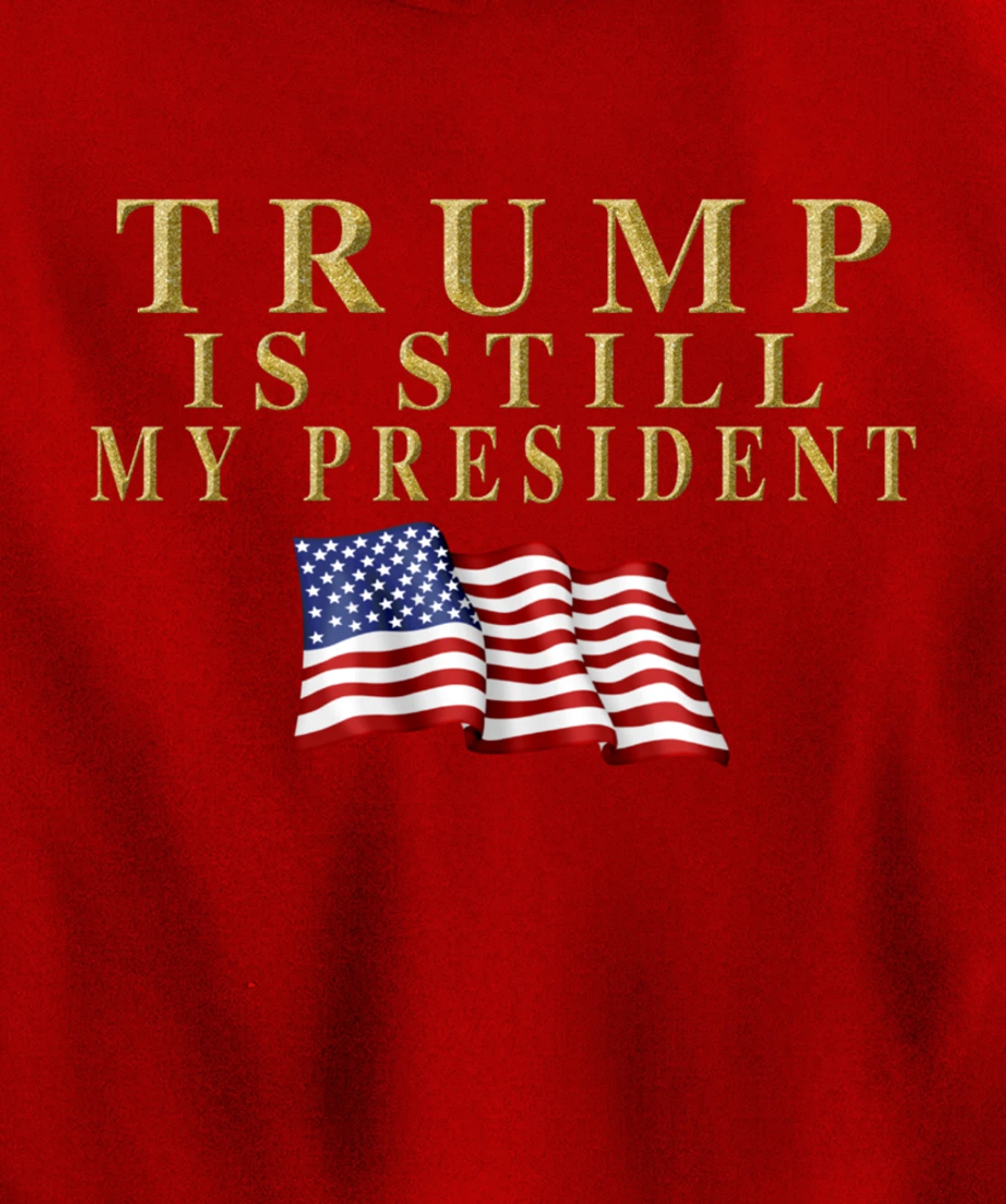 Still My President Trump Pullover Hoodie