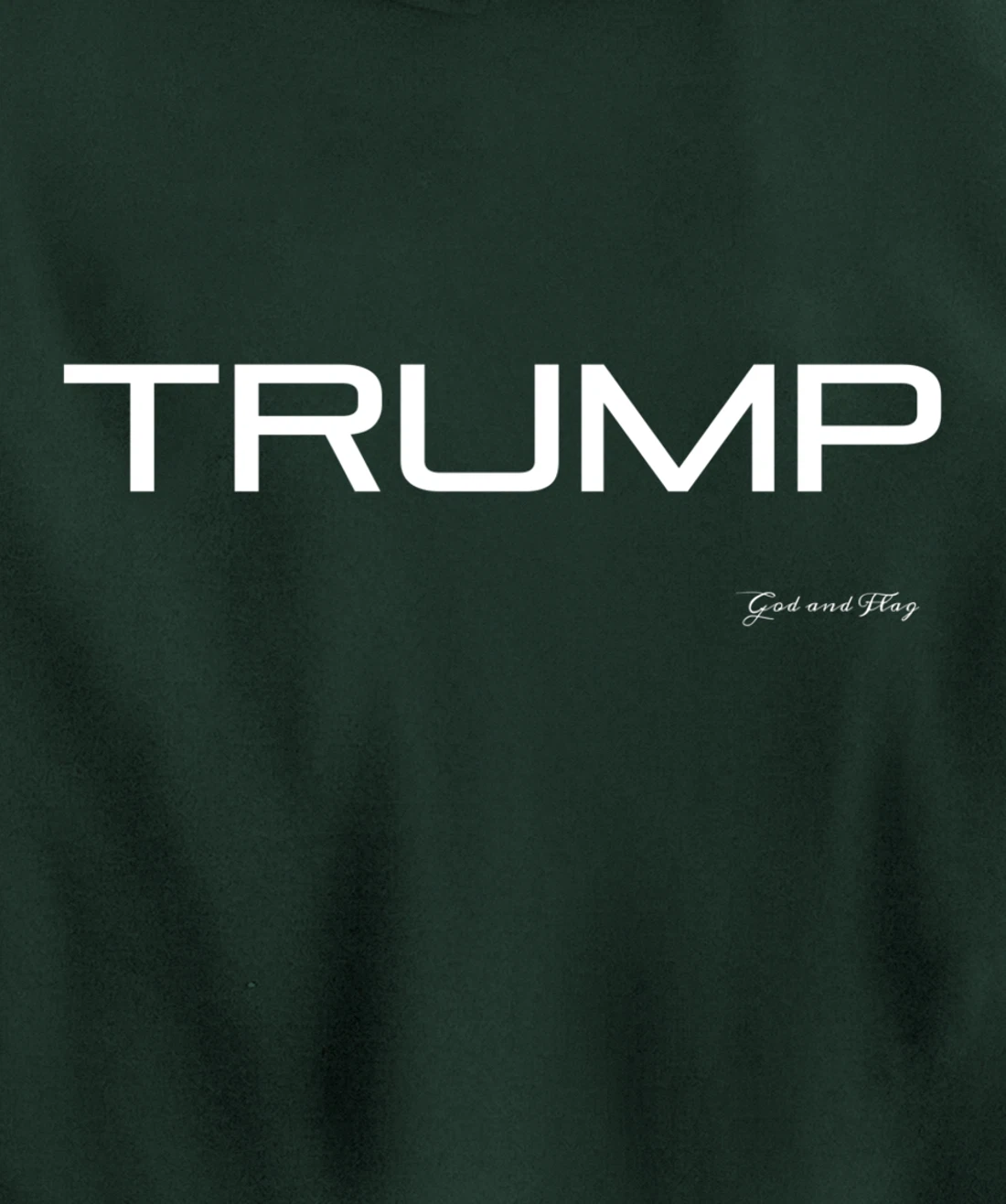 TRUMP 2024 TAKE AMERICA BACK AGAIN Pullover Hoodie
