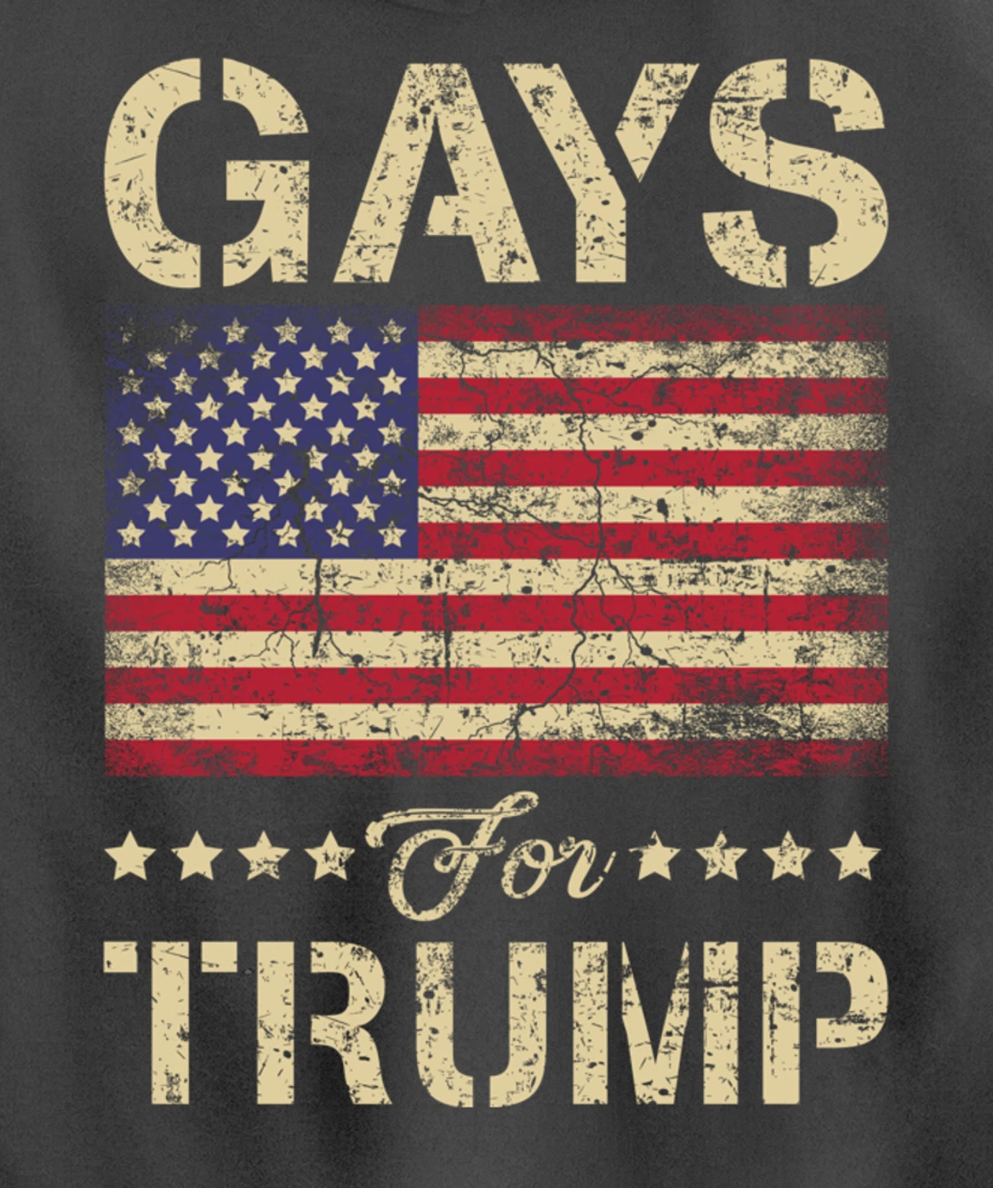 Gays For Trump Stars and Stripes American Flag Pullover Hoodie