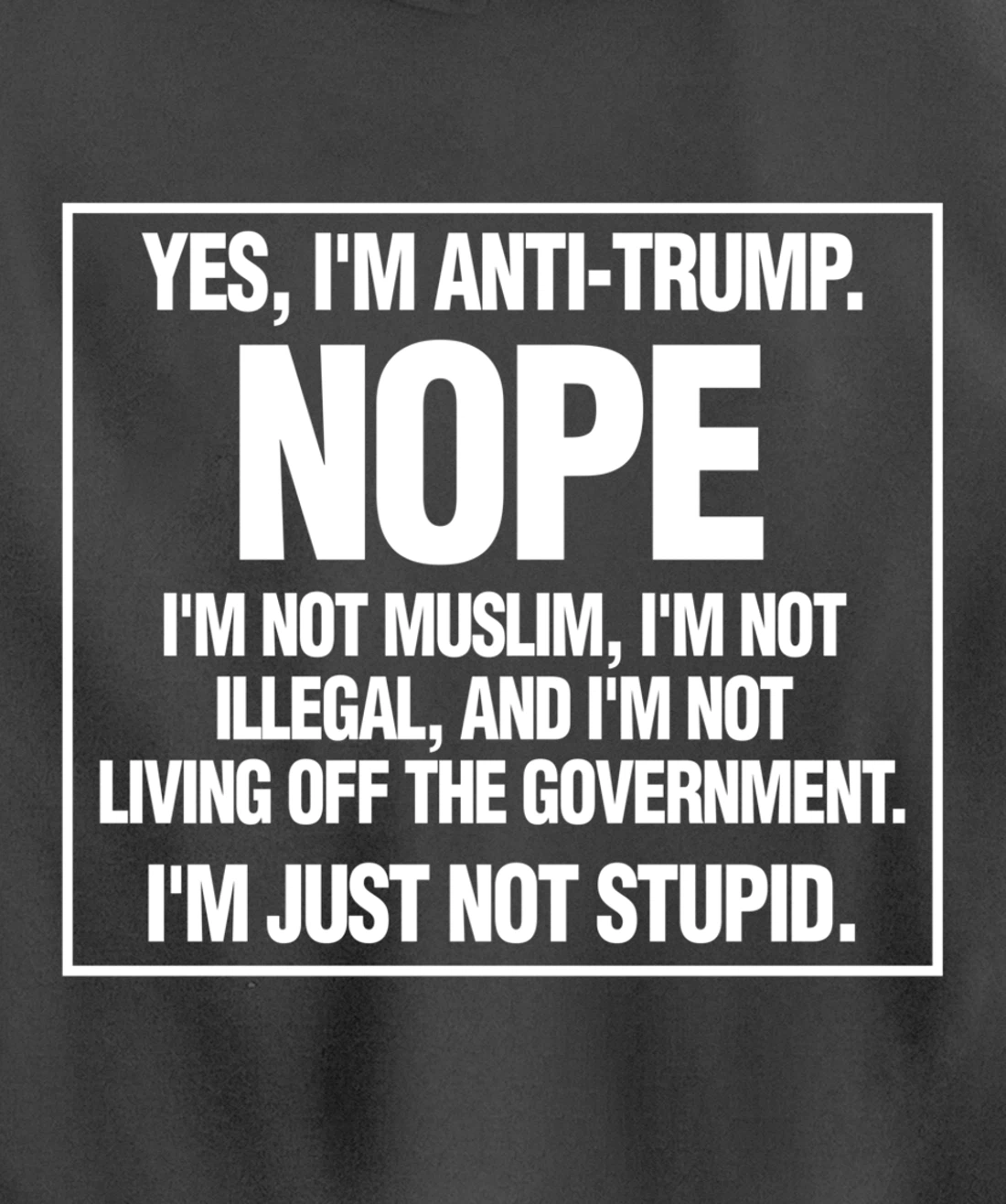 Anti-Trump Not Stupid Liberal Democrat Fun Gift Pullover Hoodie