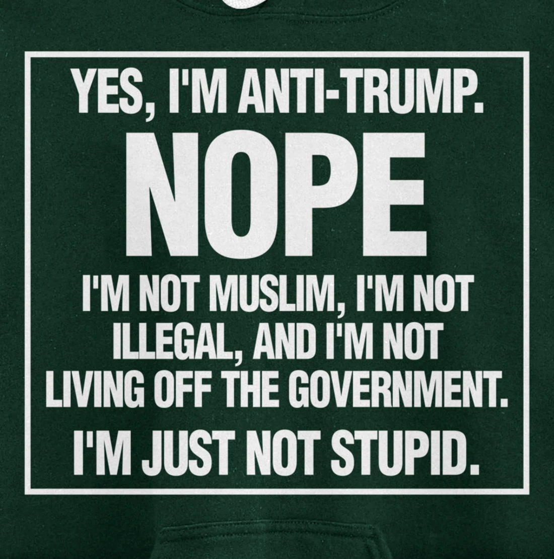 Anti-Trump Not Stupid Liberal Democrat Fun Gift Pullover Hoodie