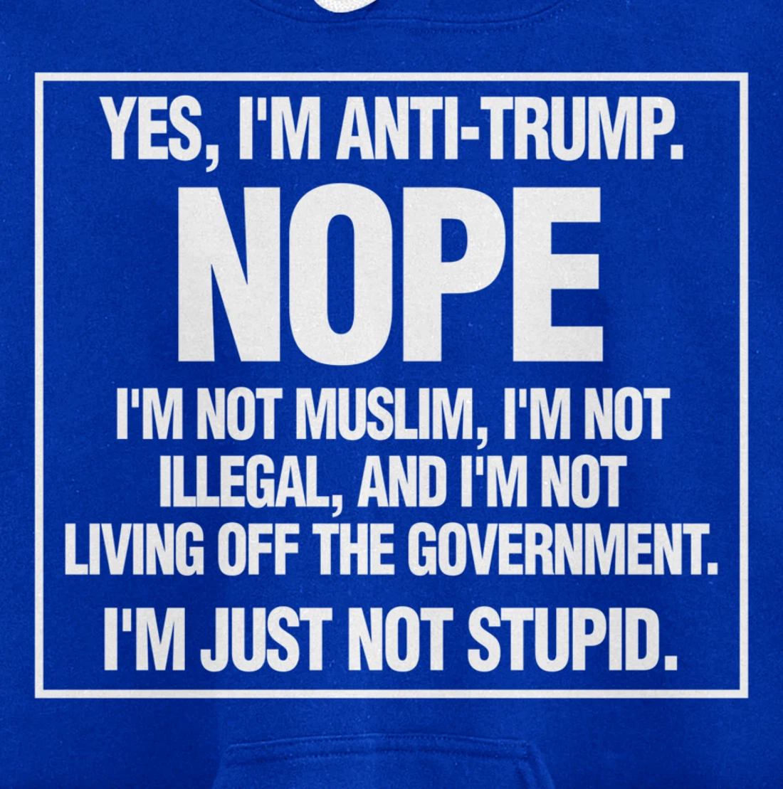 Anti-Trump Not Stupid Liberal Democrat Fun Gift Pullover Hoodie