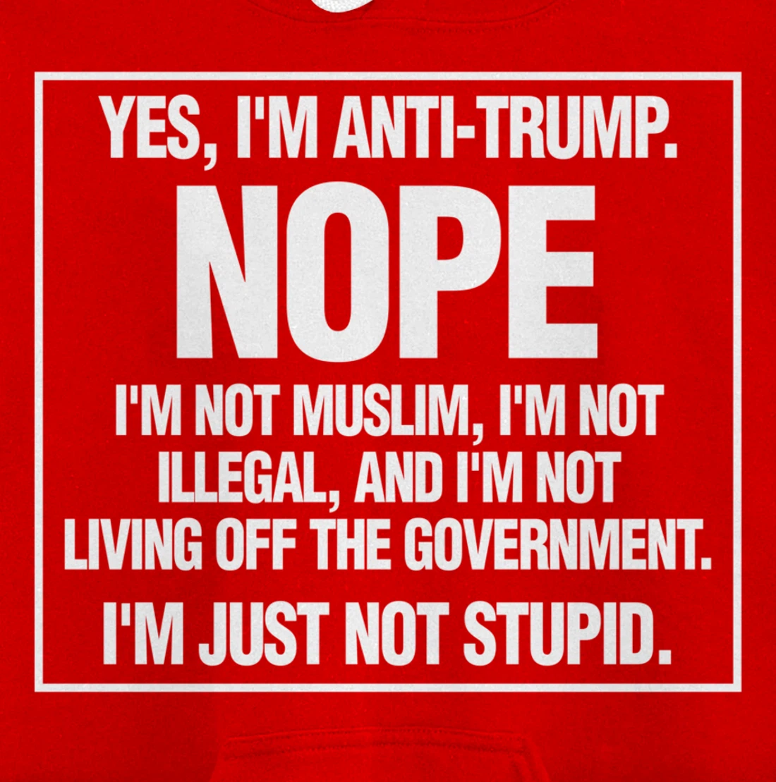 Anti-Trump Not Stupid Liberal Democrat Fun Gift Pullover Hoodie