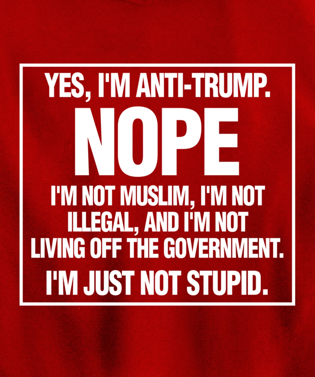 Anti-Trump Not Stupid Liberal Democrat Fun Gift Pullover Hoodie