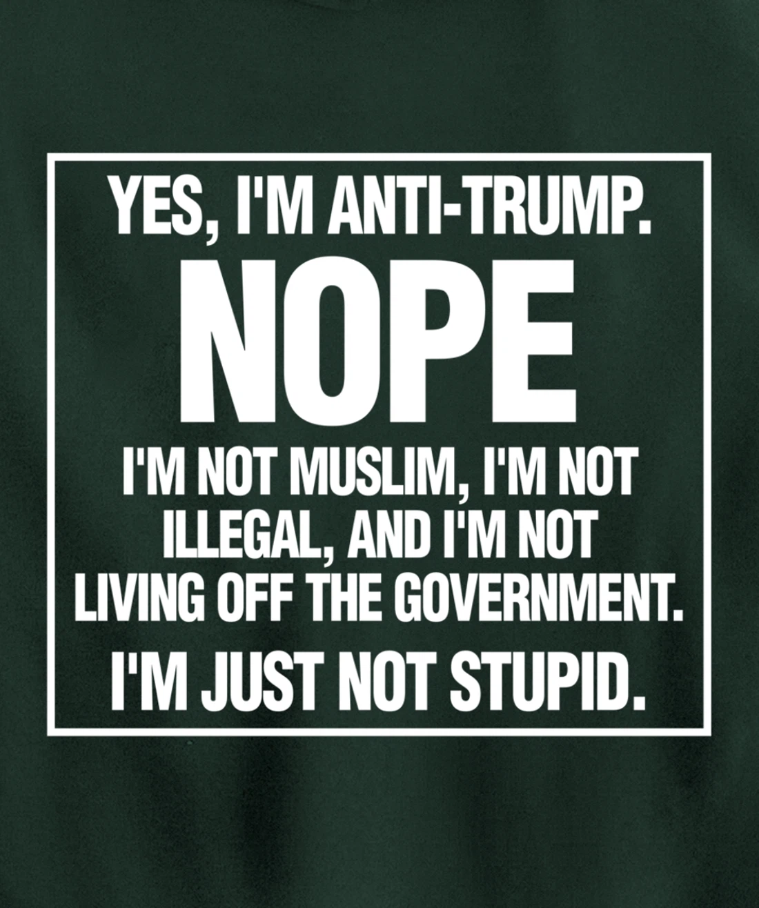 Anti-Trump Not Stupid Liberal Democrat Fun Gift Pullover Hoodie