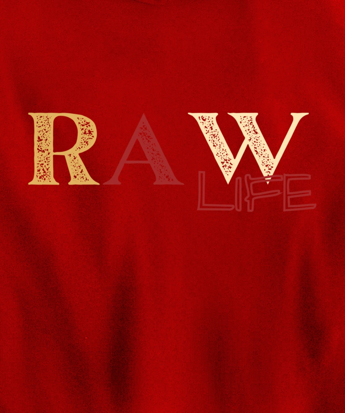 Labeled by God/RAW Pullover Hoodie