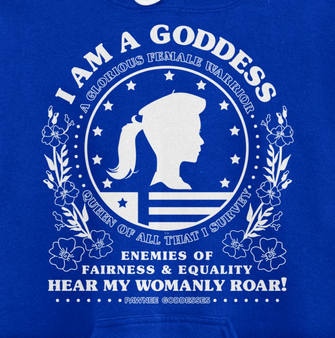 Parks & Recreation Pawnee Goddesses Pledge Pullover Hoodie