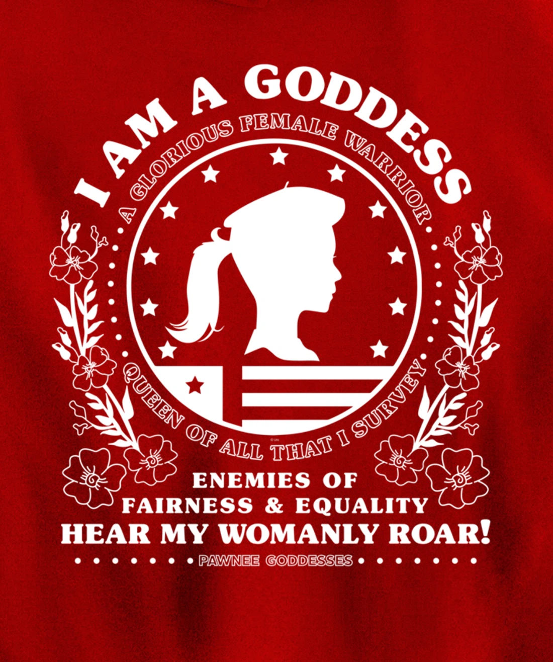 Parks & Recreation Pawnee Goddesses Pledge Pullover Hoodie