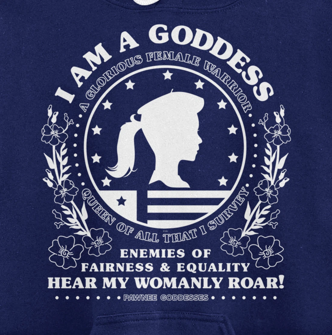 Parks & Recreation Pawnee Goddesses Pledge Pullover Hoodie
