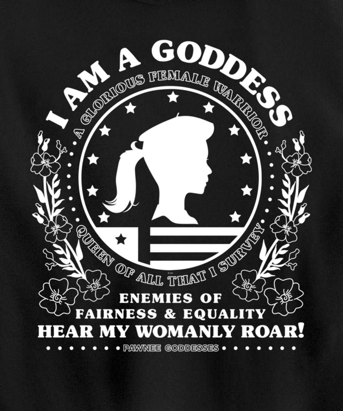 Parks & Recreation Pawnee Goddesses Pledge Pullover Hoodie