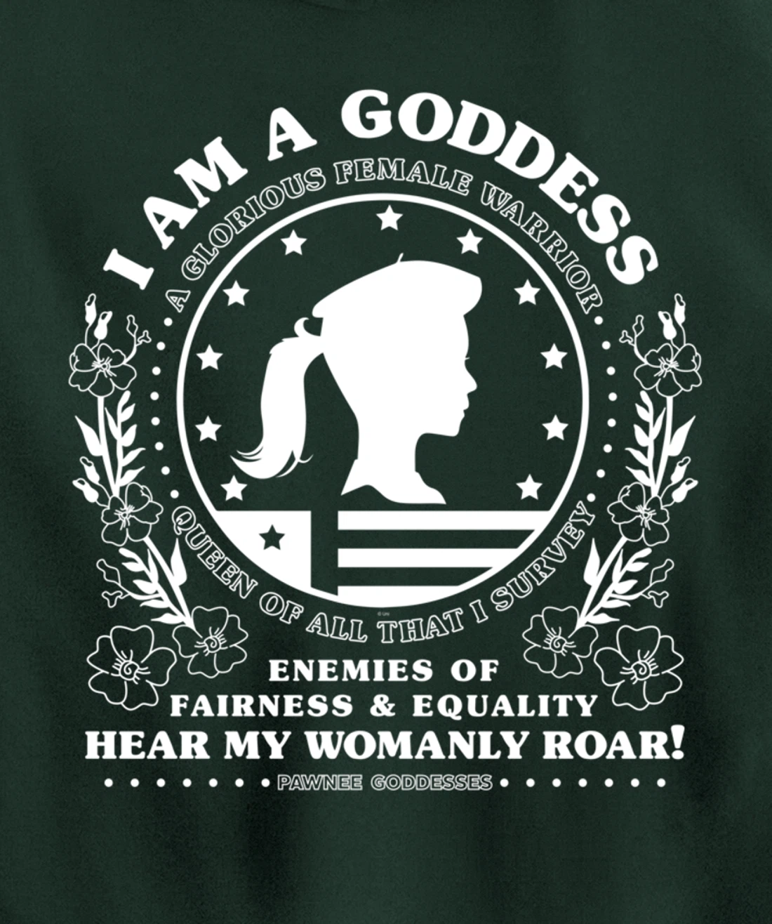 Parks & Recreation Pawnee Goddesses Pledge Pullover Hoodie