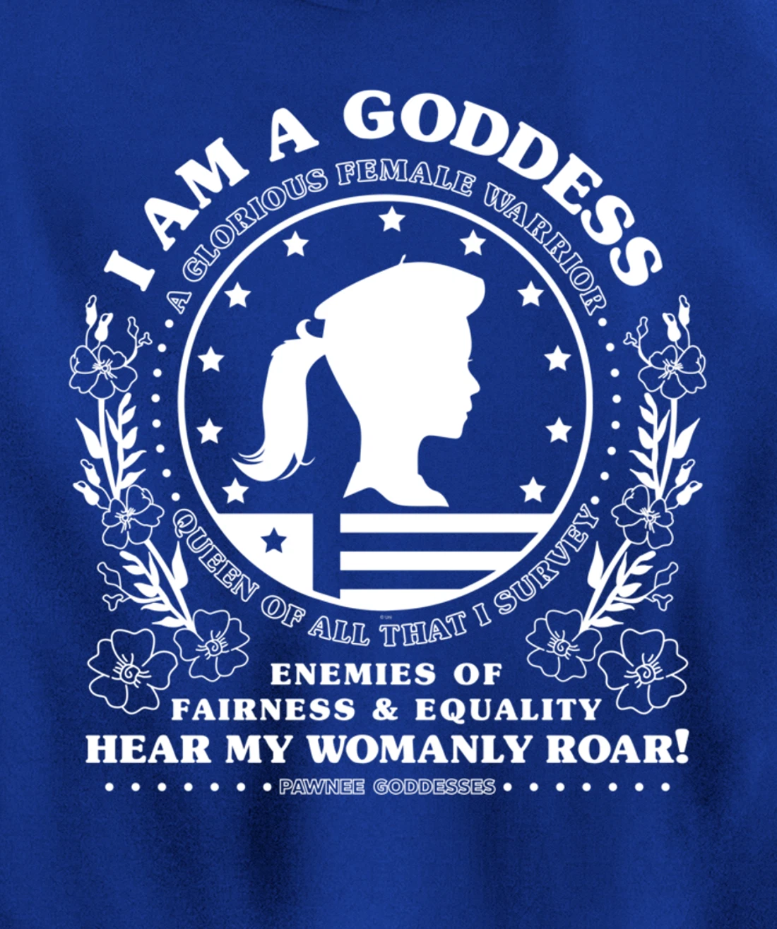 Parks & Recreation Pawnee Goddesses Pledge Pullover Hoodie